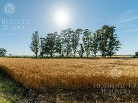 Venta de 21 hectáreas - San Antonio De Areco a 10km del pueblo y 100km de CABA