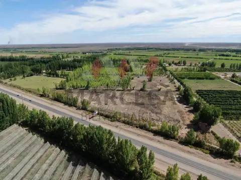 CHACRA VENTA DE 11,56 Ha. SOBRE RUTA 7 APTA TODO DESTINO