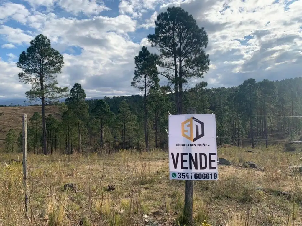 Lote escriturado de 7432 m2 en Los Reartes- Cordoba