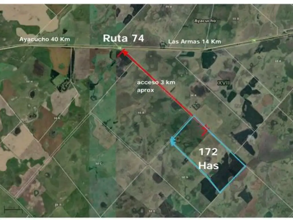 Venta Campo 172 Has  Partido de Ayacucho.  a 3 km de ruta 74