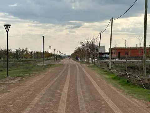 ACEPTO AUTO PAGO DIFERENCIA. VENDO LOTE EN LA ENRIQUETA