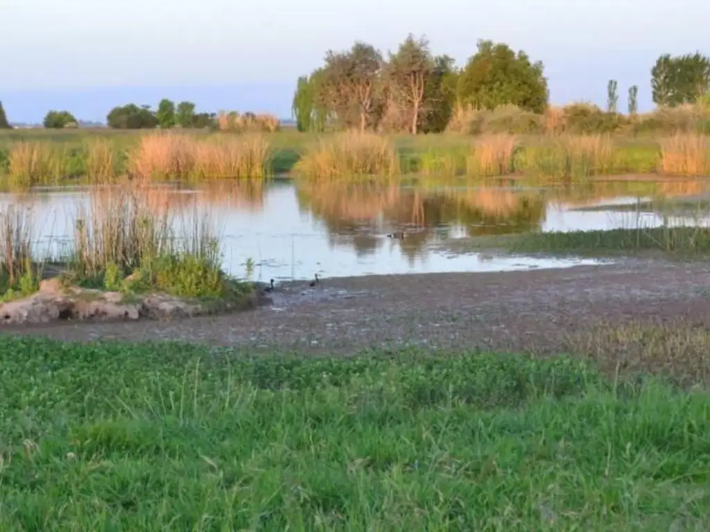 Chacra en venta en Santa Maria de Lobos Club de Polo, Lobos, Provincia de Buenos Aires