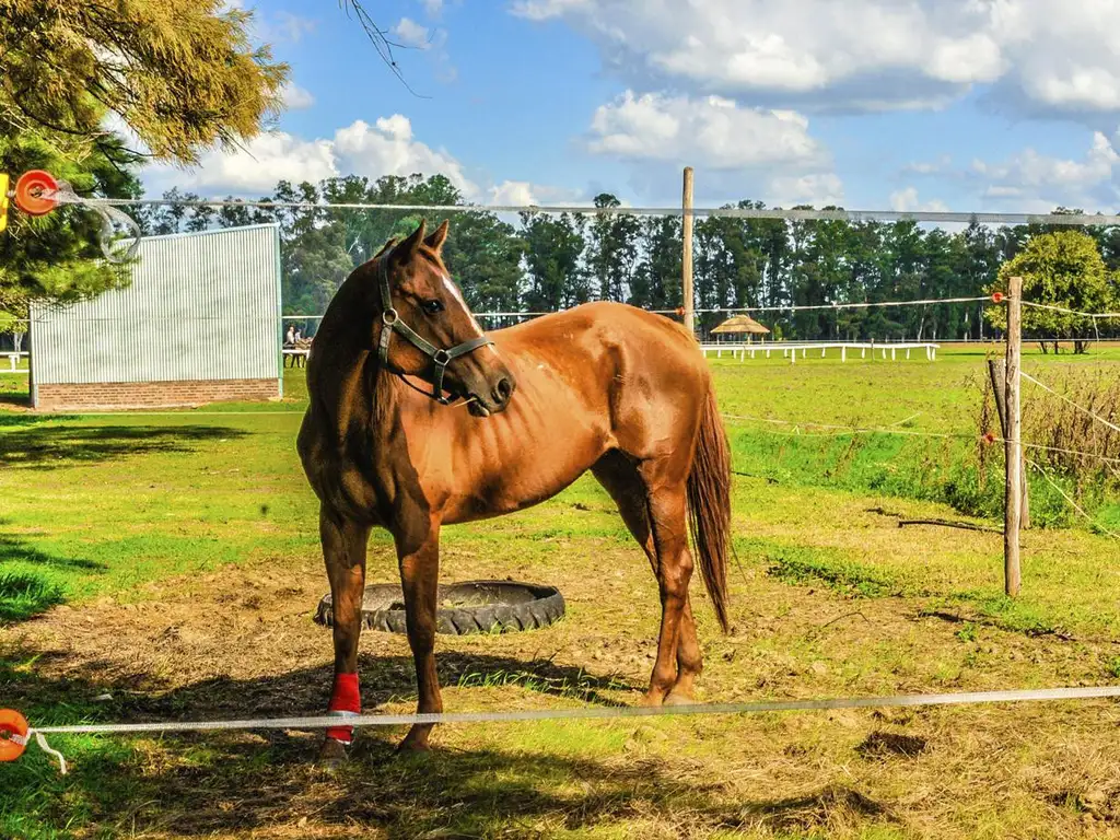 Lotes a la venta en Chacras de San Andres