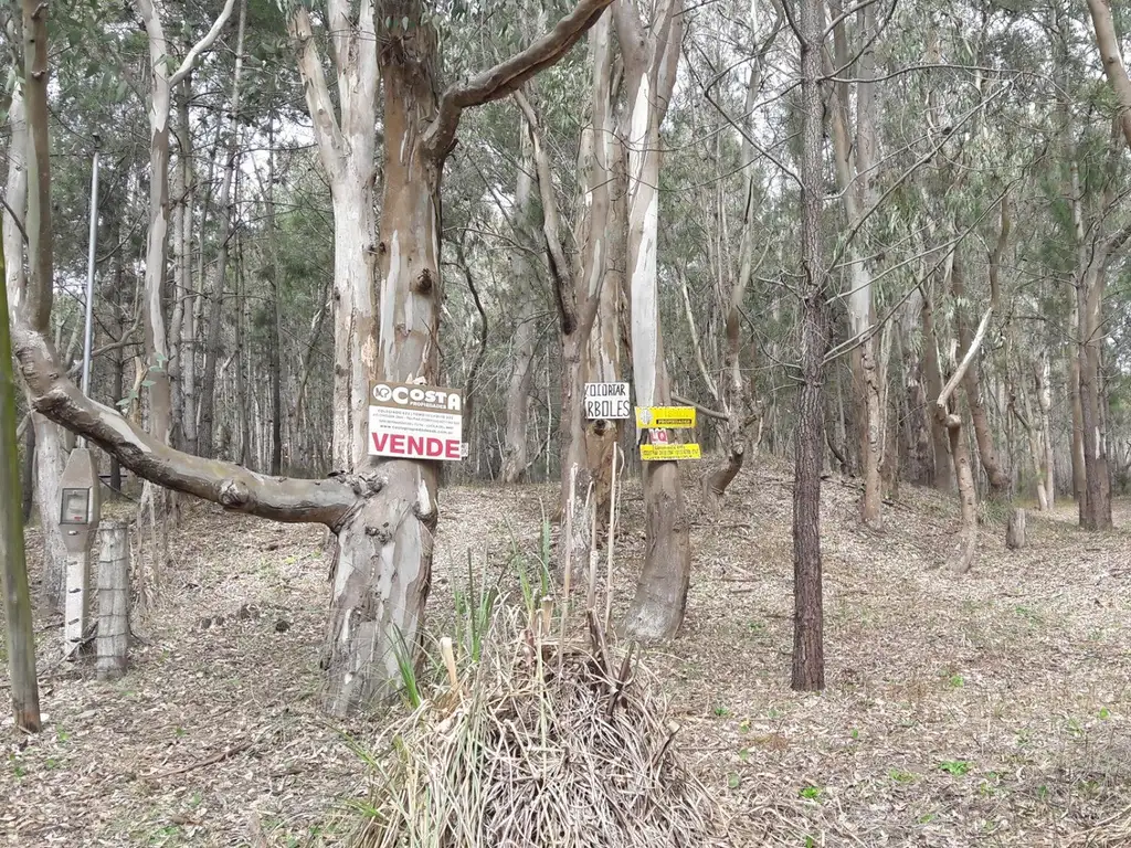 LOTE EN EL PINAR - LA LUCILA DEL MAR - ANTE ESQUINA