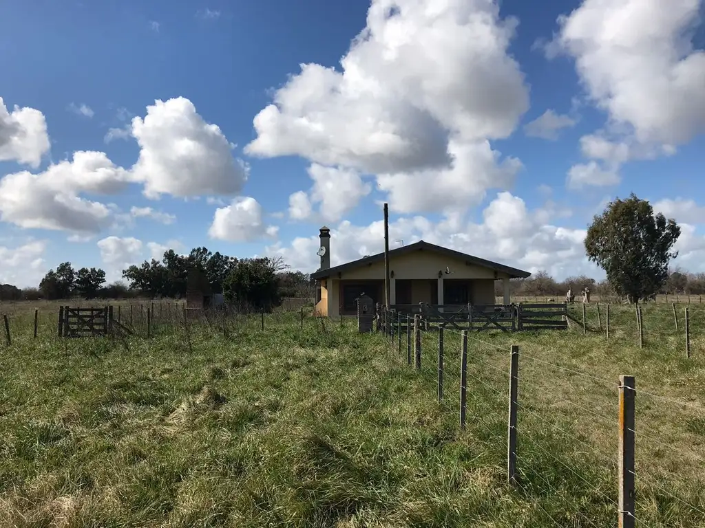 CAMPO 25 HAS. - ZONA URBANA - CASA PRINCIPAL - CASA HUESPEDES - LOBOS