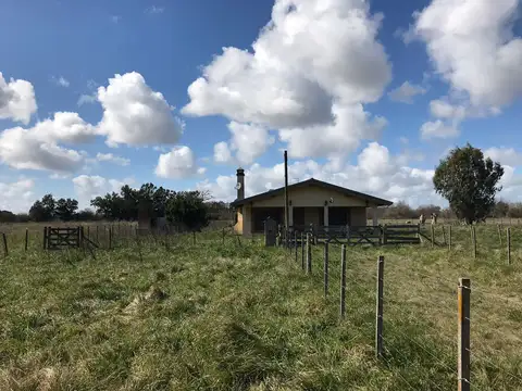 CAMPO 25 HAS. - ZONA URBANA - CASA PRINCIPAL - CASA HUESPEDES - LOBOS