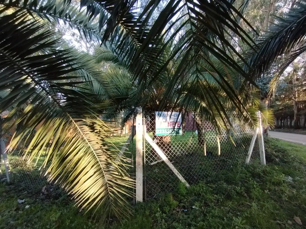 VENDO LOTE, BARRIO FARO A METROS DE AVENIDA MARIO BRAVO.-