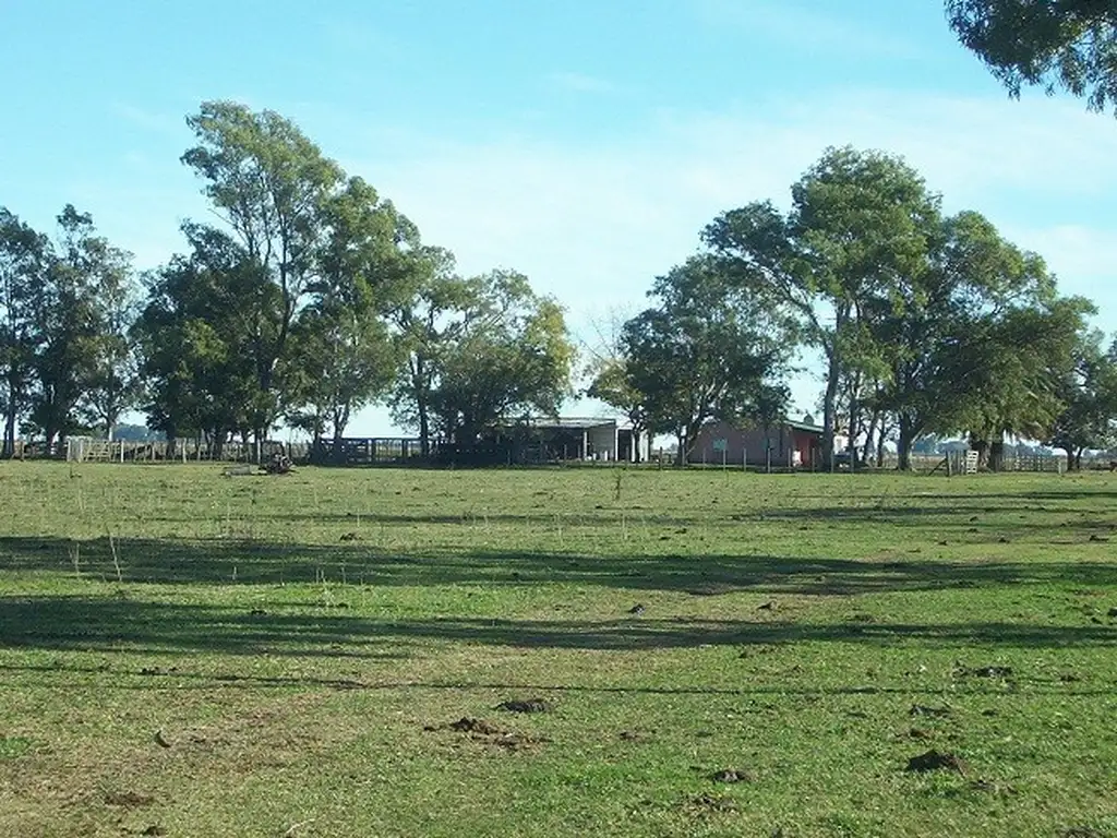 Gran Campo en Madariaga, oportunidad!