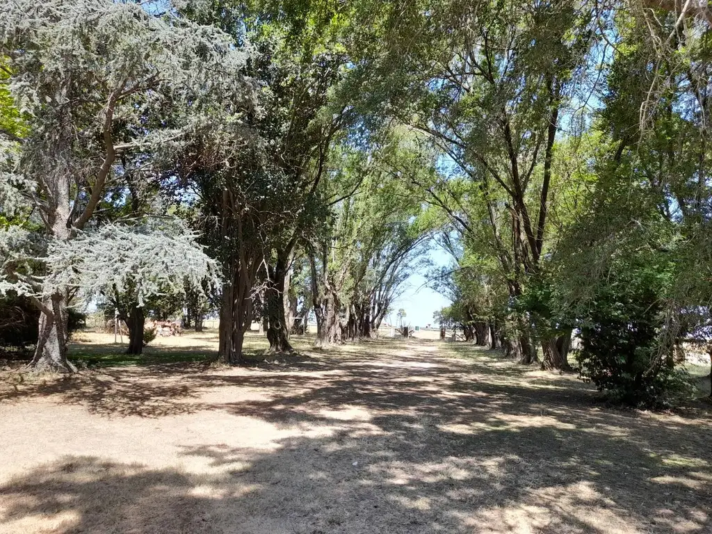 Alquiler temporario casa de campo .Areco