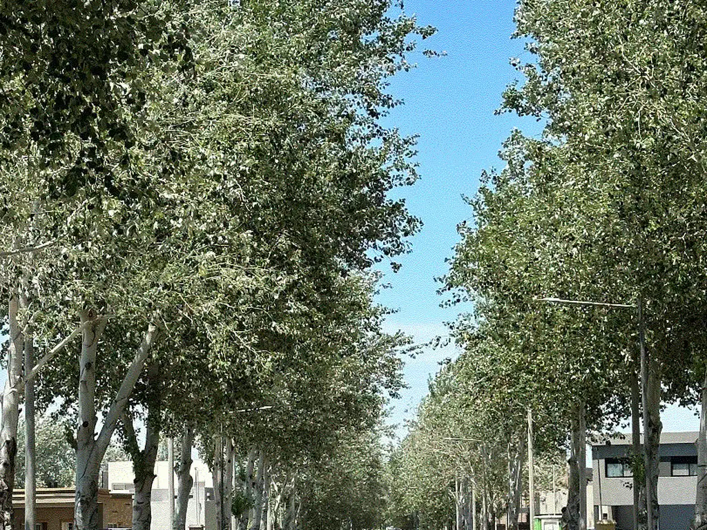 BARRIO CERRADO PINARES DEL SUR - PIÑERO