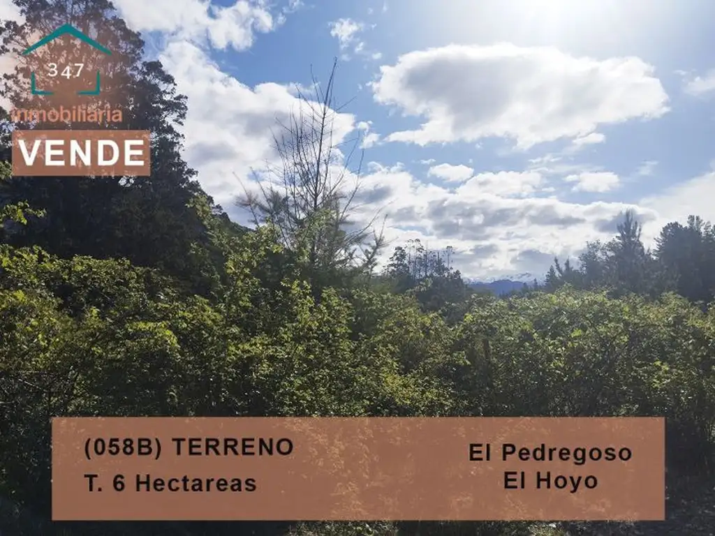 (058B) TERRENO de 6Has en El Pedregoso, El Hoyo