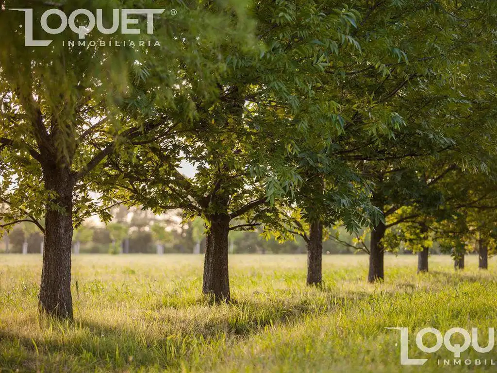 Lotes en Estancia San José