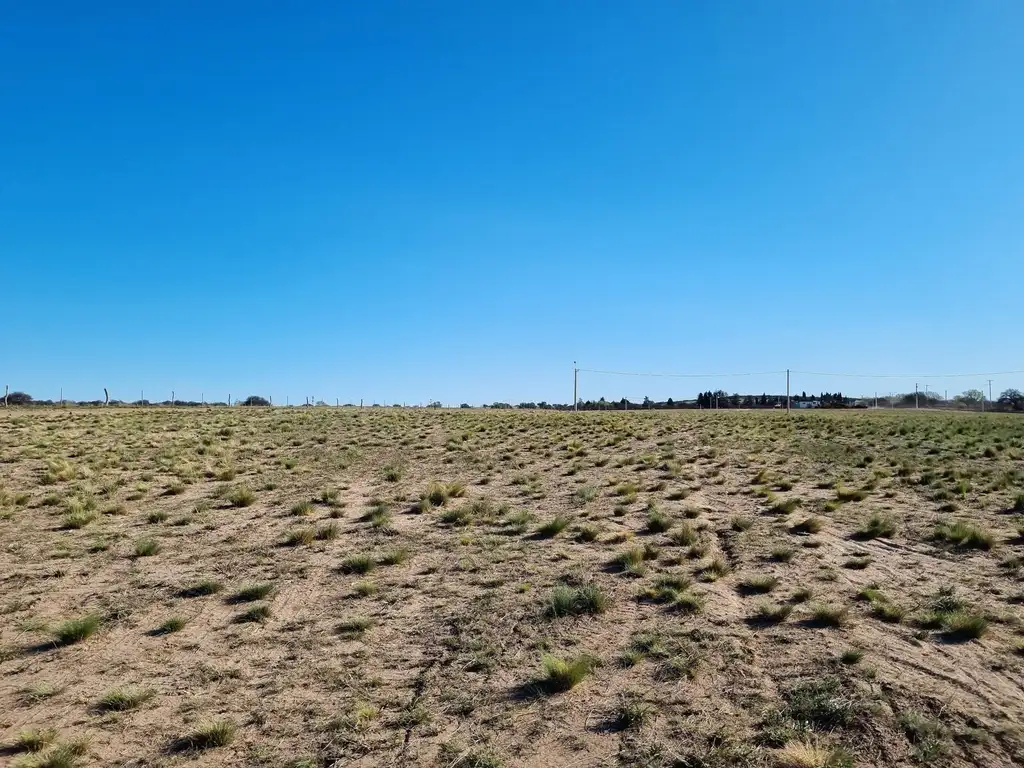 Lote de 1 hectárea en loteo "El Bagual" - Toay