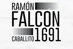 Falcon 1691