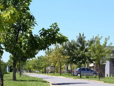 Terreno en Venta - USD 120.000