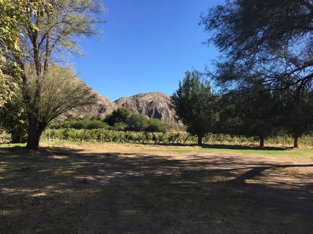 VENTA DE FINCA Y BODEGA EN CATAMARCA