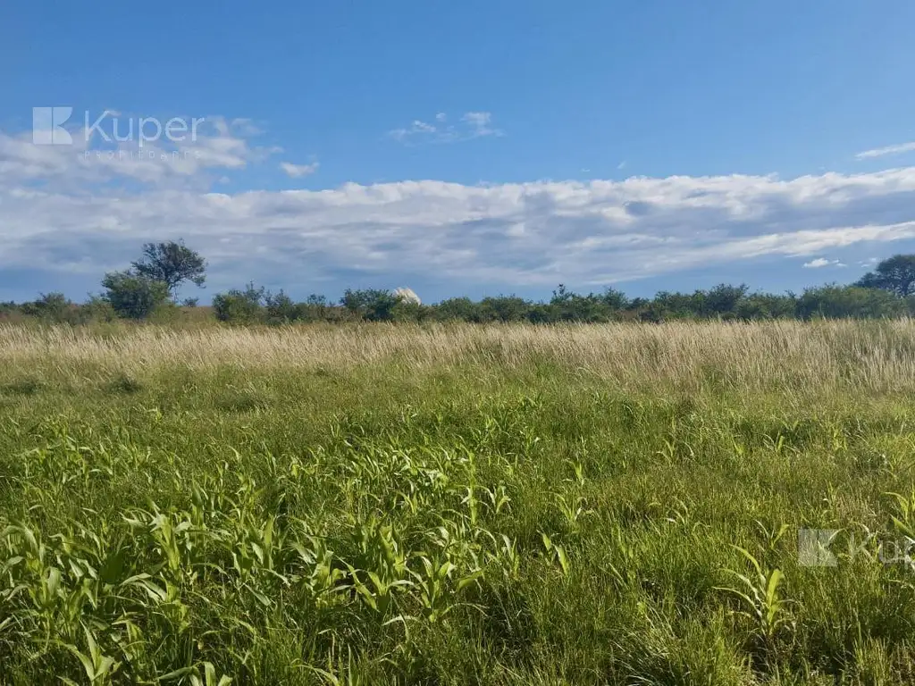 Campo en venta 74 has en Juan Jorba San Luis a 5km de Ruta Nac 8