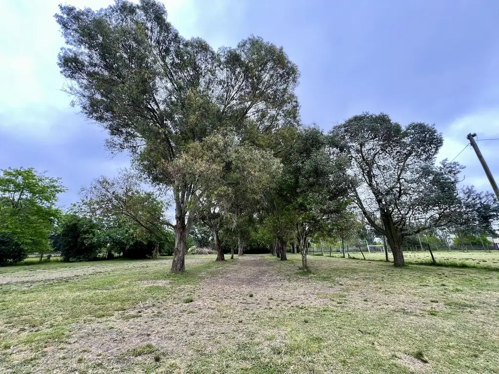 Campo en venta en Olmos, La Plata. Con dos casas y predio con canchas