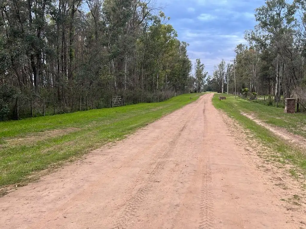 Terreno en Estancia Estrella Federal, Ramallo