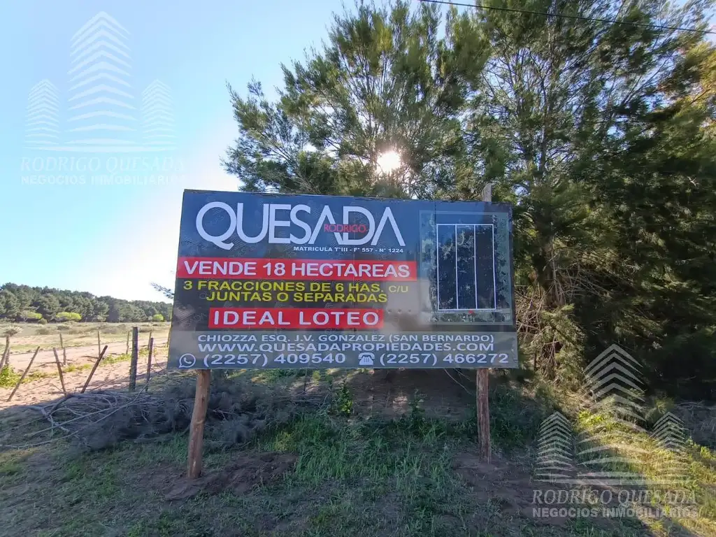 |18 HECTAREAS EN EL PINAR| |IDEAL LOTEO| |LA LUCILA|