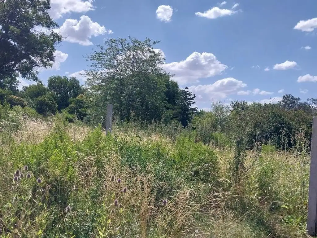 TERRENO EN LEZICA Y TORREZURI