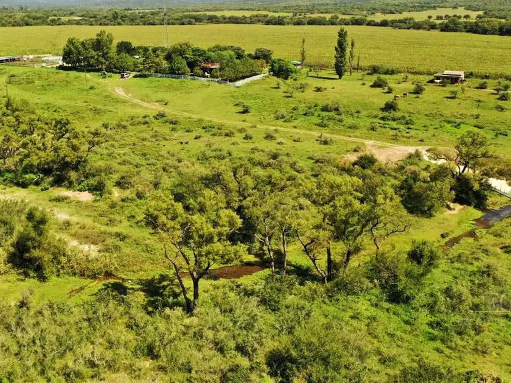 Campo en Los Molinos