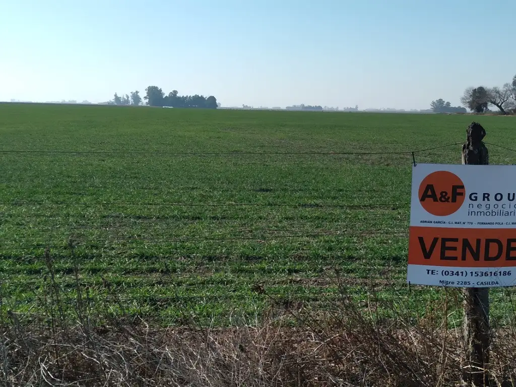 CAMPO AGRÍCOLA A LA VENTA. 15 HAS ENTRE CASILDA Y LOS MOLINOS. ESCRITURA ÚNICA.