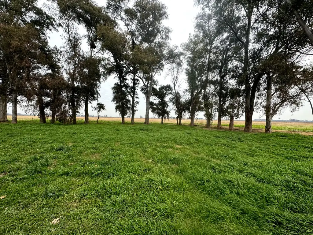 VENTA CAMPO EN PUEBLO DE ABBOTT