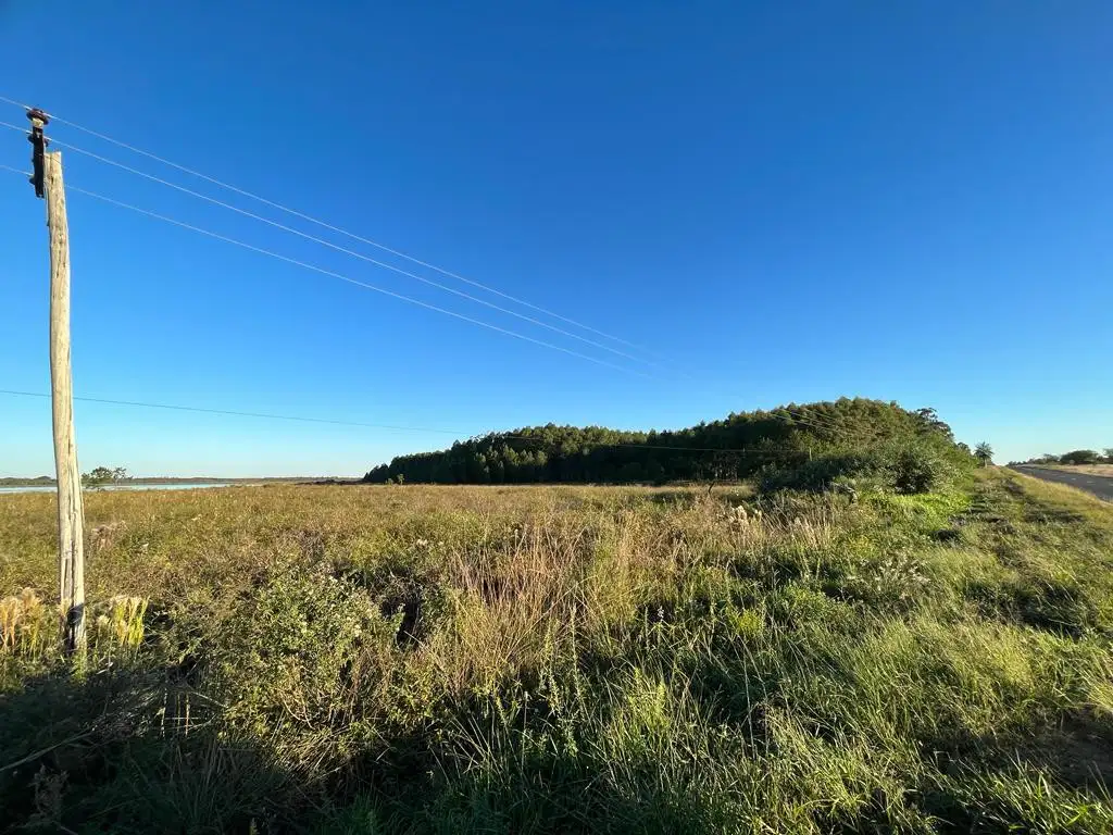 Venta de Campo en Santa Rosa - Concepcion, Corrientes