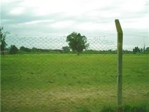 Campo en Alquiler