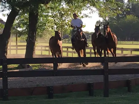 Club de Polo y Equitacion de renombre en Venta - Mercedes/Tomas Jofre