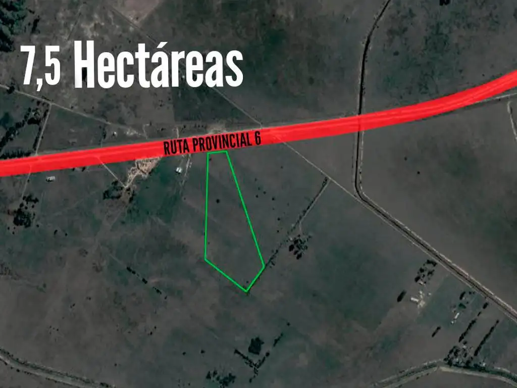 Campo en venta - 7.5 Hectáreas - San Vicente