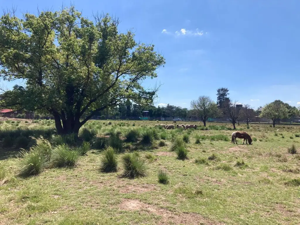 Maxi Lote de 8.000 m2 en Pueblo Esther - Apto Credito