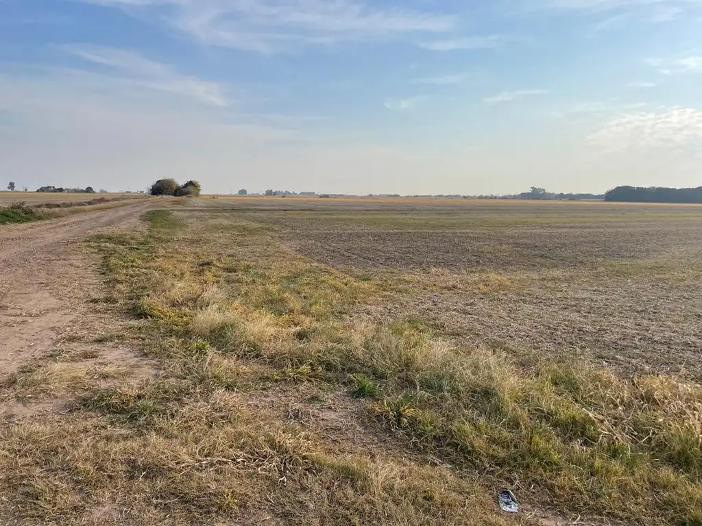 Venta Campo 25 ha Arroyo Seco