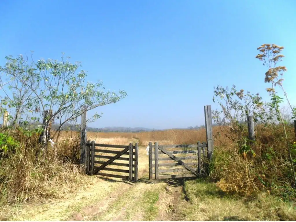 Campo en Venta - Yuto, Jujuy