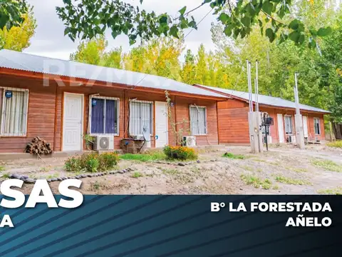 VENTA! 2 CASAS CON RENTA | IDEAL INVERSIÓN | AÑELO