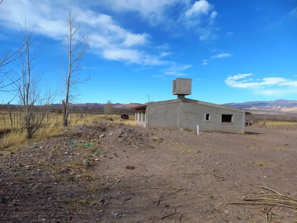 VENTA CAMPO CON CASA SAN ALBERTO USPALLATA