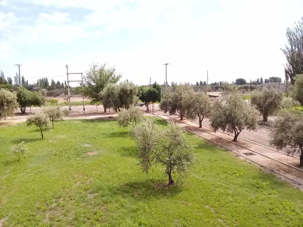 Terreno en venta apto PH en Olivos de Furlotti