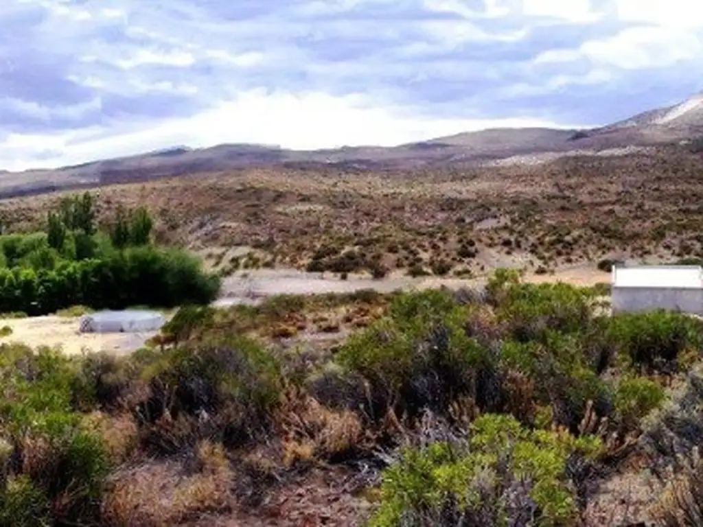 PROPIEDADES RURALES - CRIA - PASO DE INDIOS