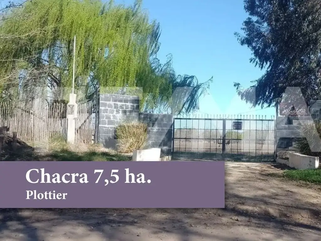 Chacra 7,5 hectareas Plottier