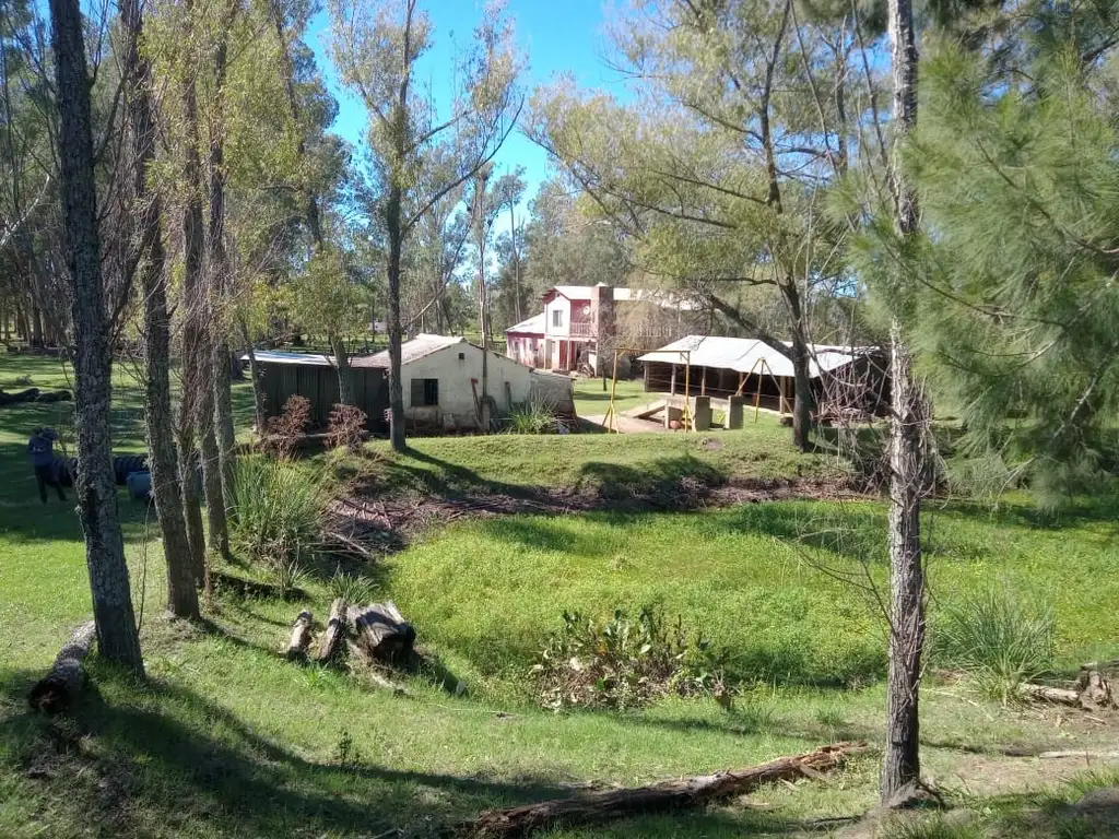 Vendo Lote en Isla, 220Has, Ibicuy Entre Rios