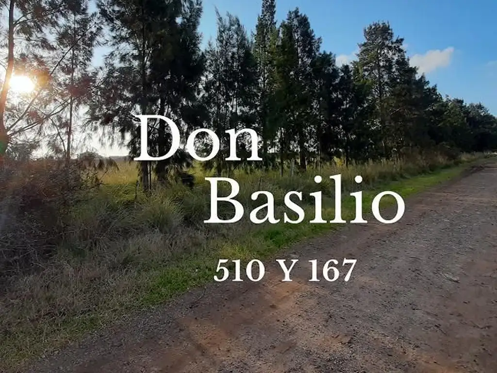 Lote - Venta - Argentina, La Plata