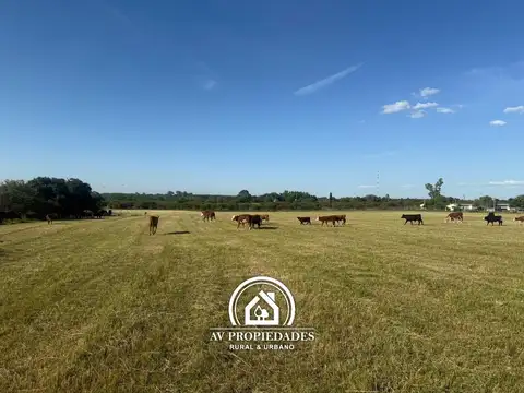 Campo en Costa Uruguay Sur, Imperdible Ubicacion