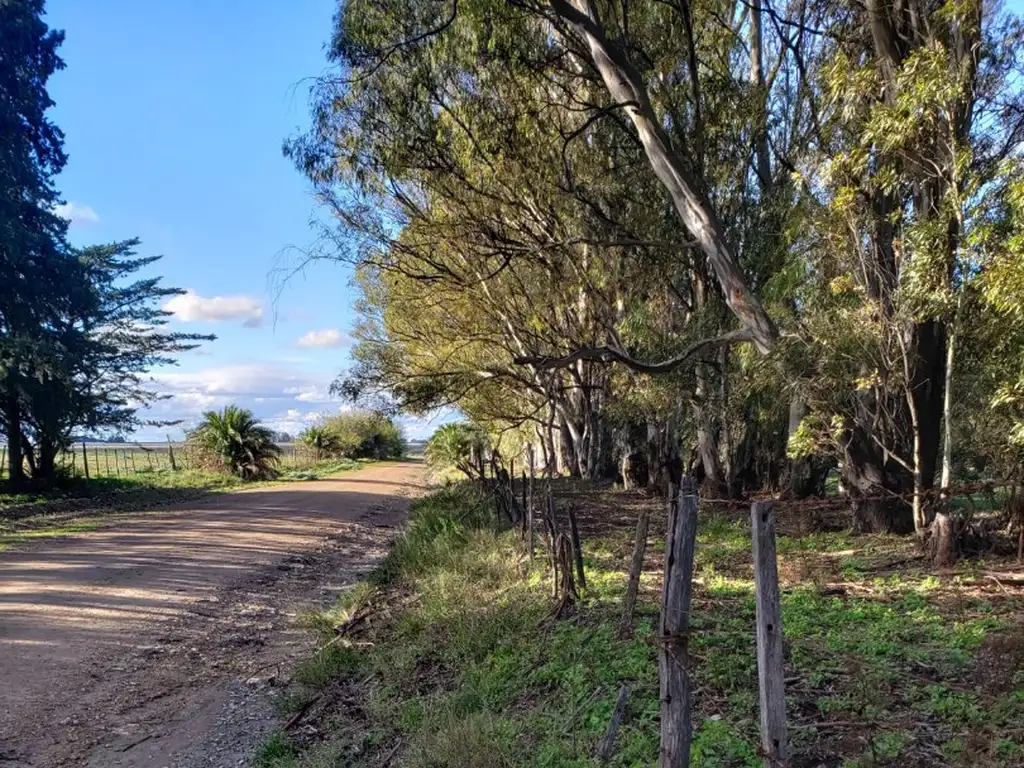 Balneario Reta o Marisol quinta de 3.5 ha en Oriente partido de Tres Arroyos provincia de Bs. As.