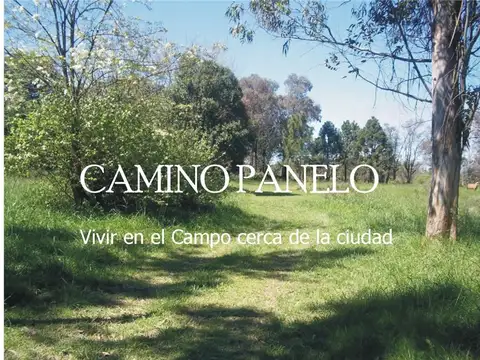 LOTEO CAMINO PANELO - VENTA DE TERRENO EN CAÑUELAS - Foto 0