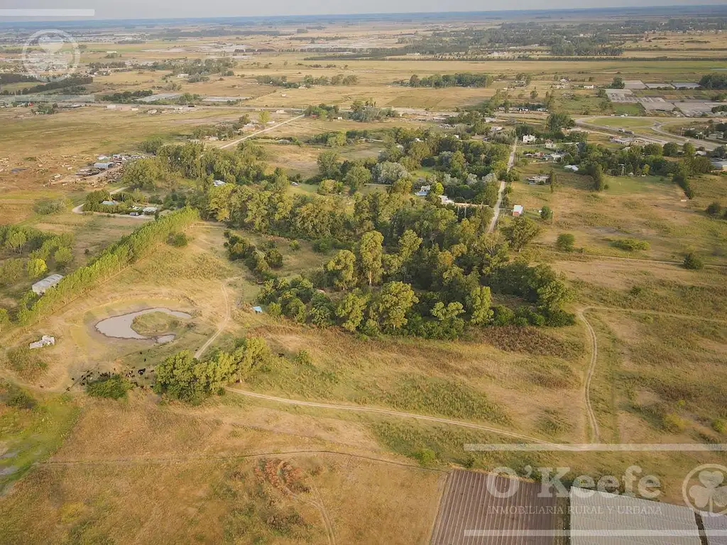 Chacra en venta 9 Has - Horticultura / Fin de semana en Etcheverry, La Plata