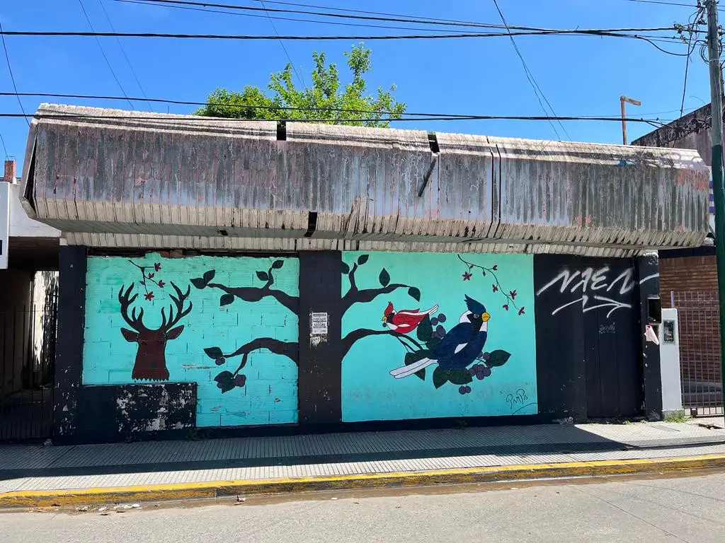 DOS PROPIEDADES EN VENTA CASA PH Y LOCAL FRENTE A LA ESTACION DE ITUZAINGO LADO NORTE