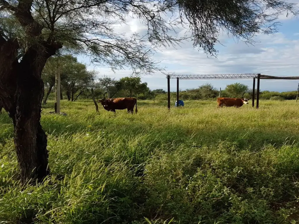 Casa Campo  en Venta en Chamical, La Rioja