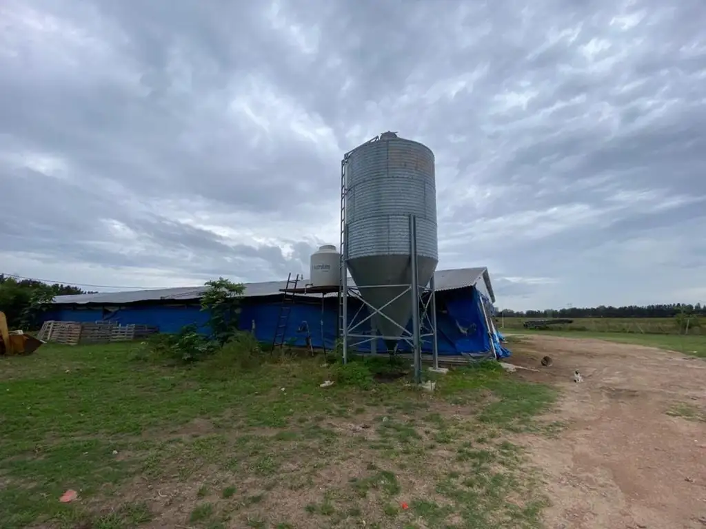 CAMPO EN VENTA ESCALADA