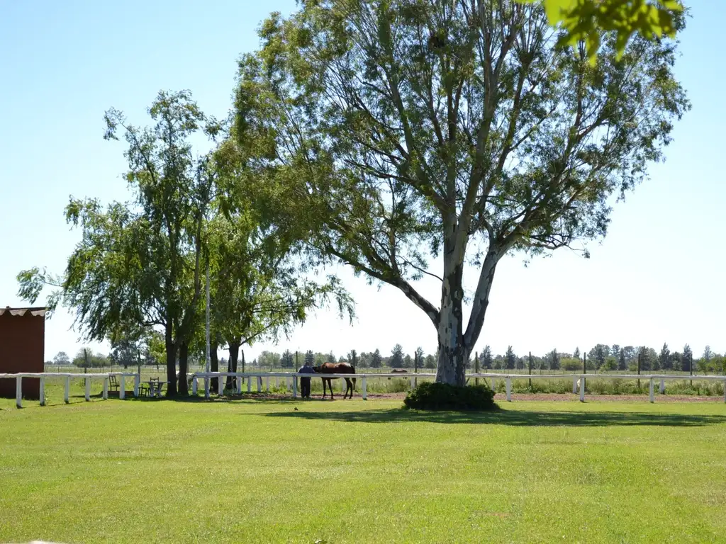 UNICOS DOS LOTES JUNTOS SOBRE GOLF EN CORAZON DE GOLF